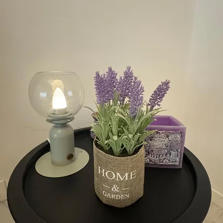 Twin Two In 21residence Politehnica - 1st Place *