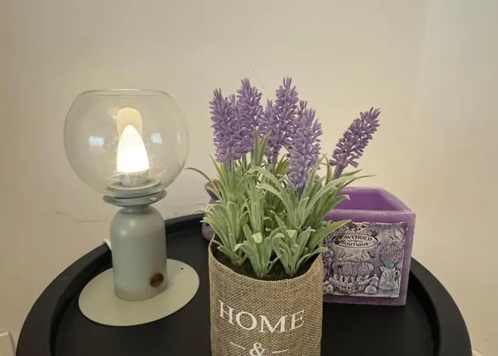 Twin Two In 21residence Politehnica - 1st Place *